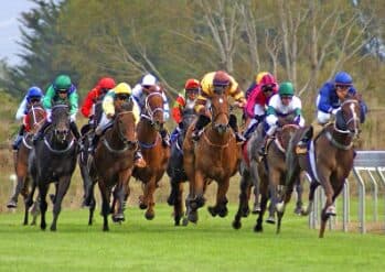 Racehorses in competition